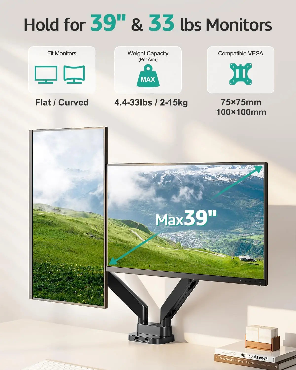 Dual Monitor Mount With Gas Spring Arm And USB Ports
