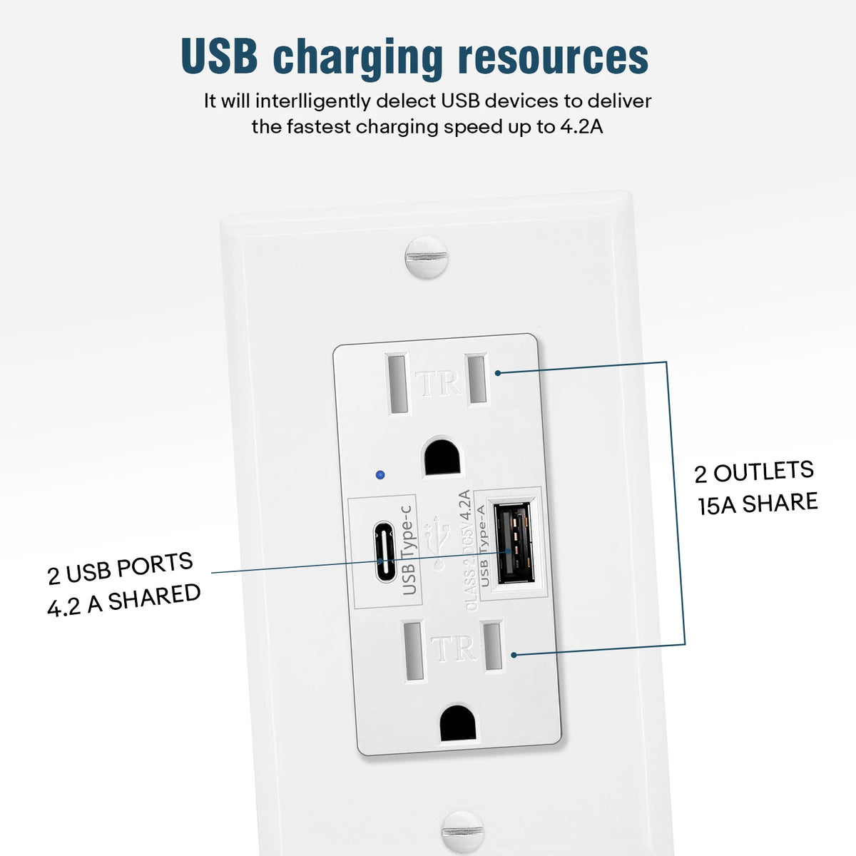 NineLeaf Dual Type C USB Wall Outlet With LED Indicator